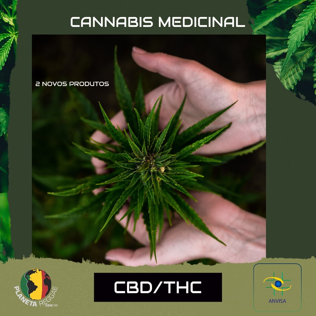 ANVISA LIBERA, 2 NOVOS PRODUTOS À BASE DE CANNABIS - Planeta Reggae